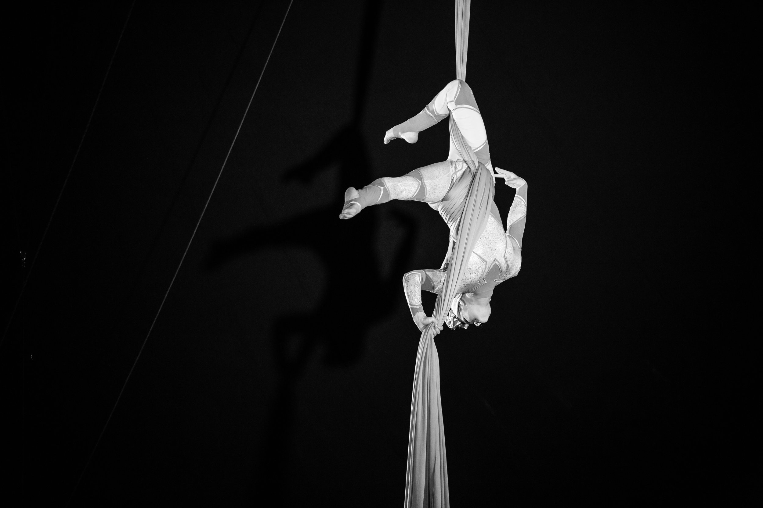 Lisandra Austin on silks by Gem Hall